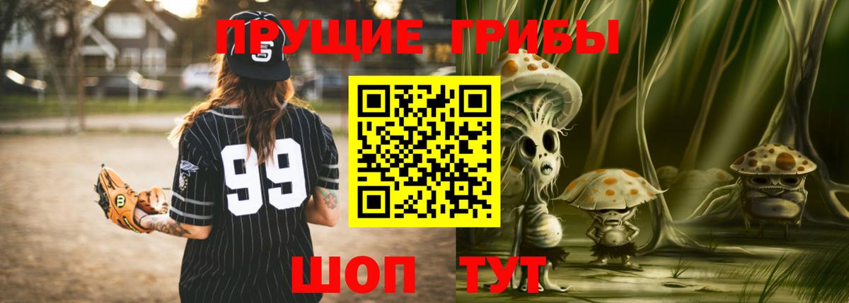 Псилоцибиновые грибы Psilocybe Рубцовск