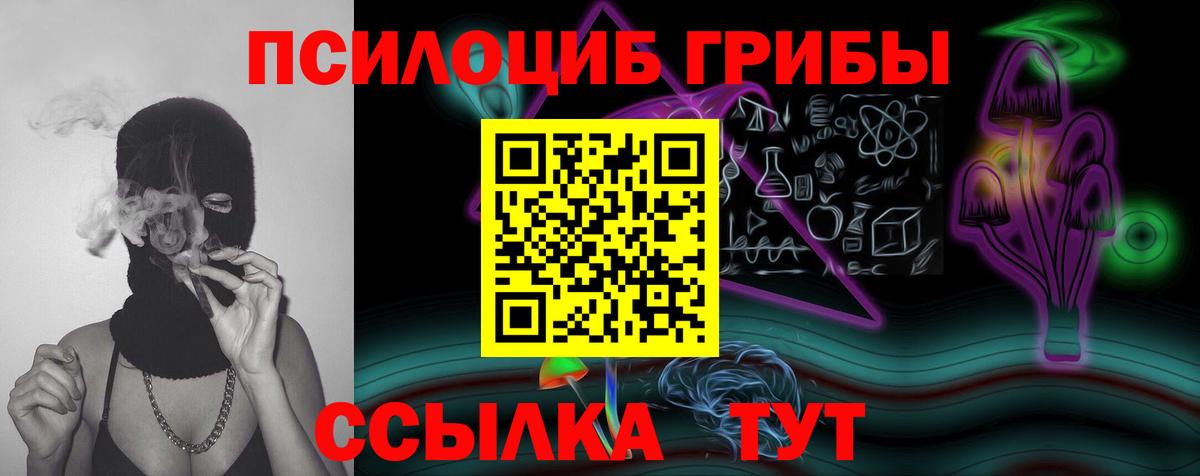 Рубцовск  Псилоцибиновые грибы Cubensis  Вход с VPN 